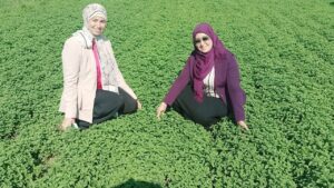 photo_2023-11-02 17.37.50